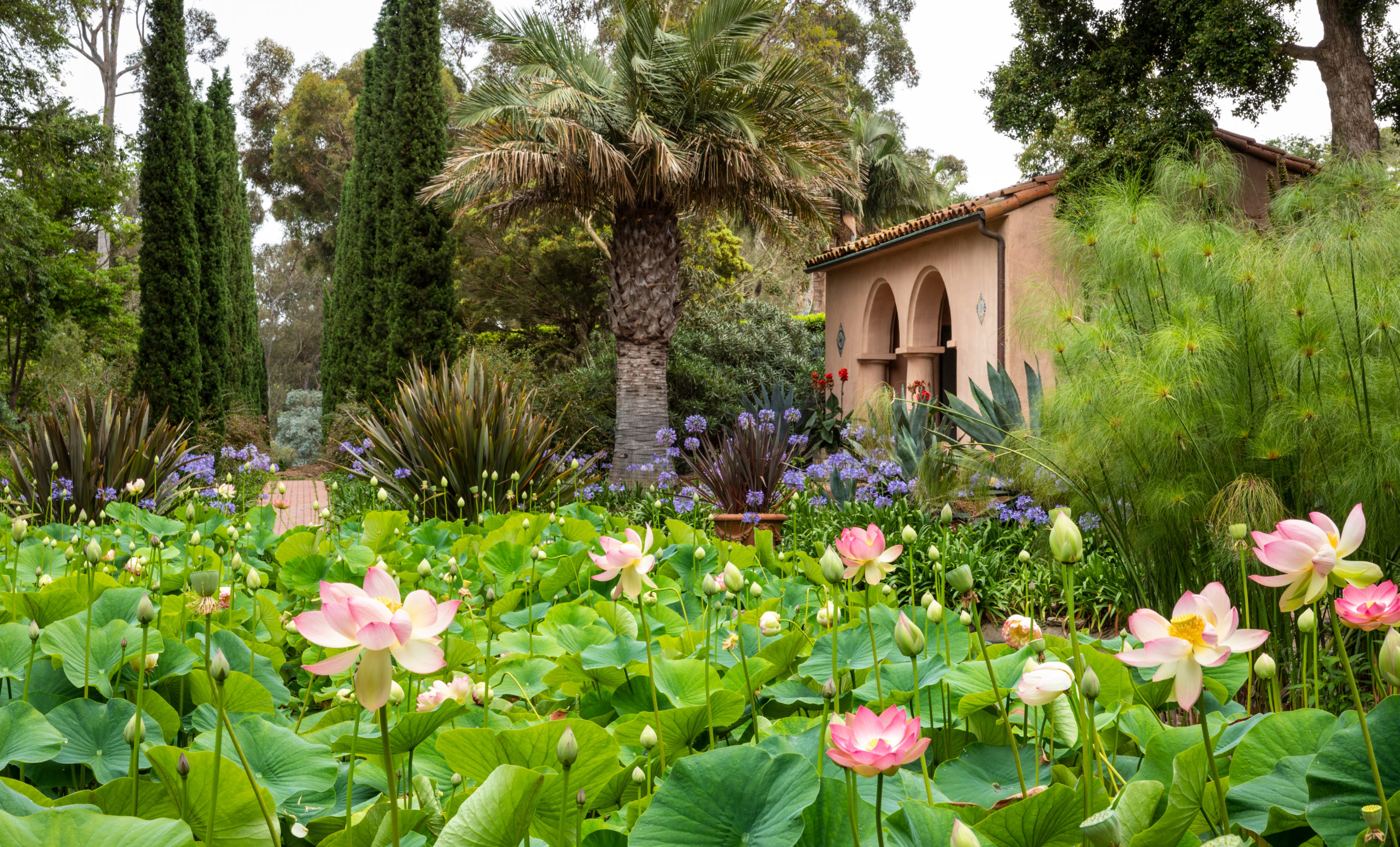 The Story Behind Lotusland, One of America's Most Beautiful