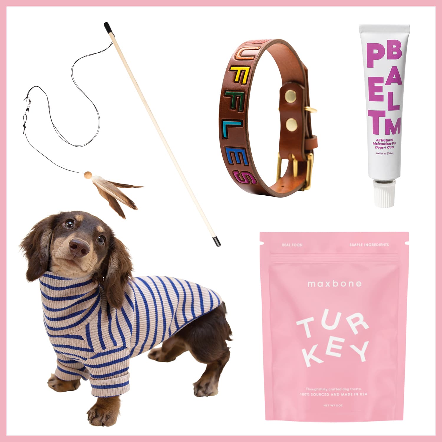 Pet Accessories for the Millennial Pet Parent: An Interview with